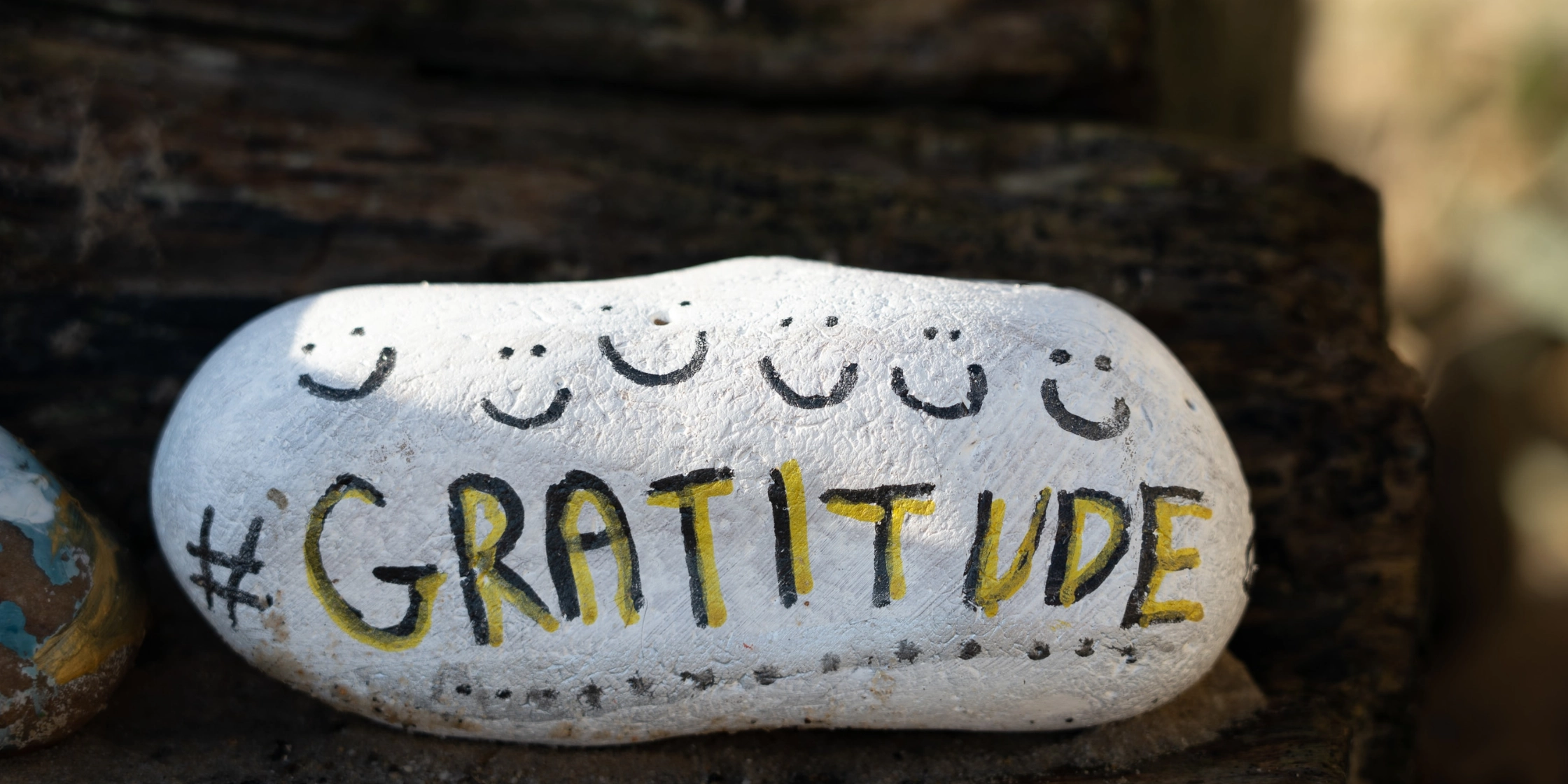 playfully painted rock with the word gratitude